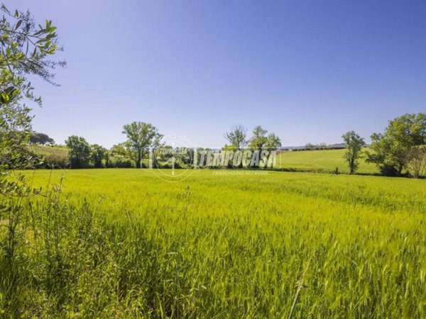 terreno agricolo in vendita a Montecosaro in zona Borgo Stazione