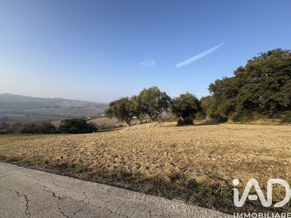 terreno agricolo in vendita a Montecosaro