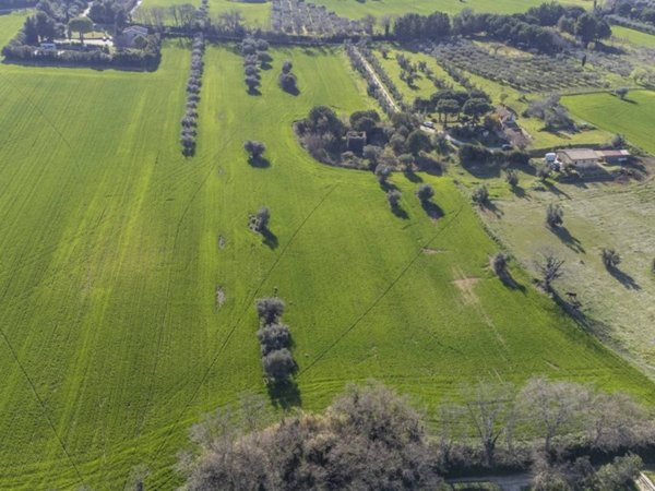 casa indipendente in vendita a Montecosaro