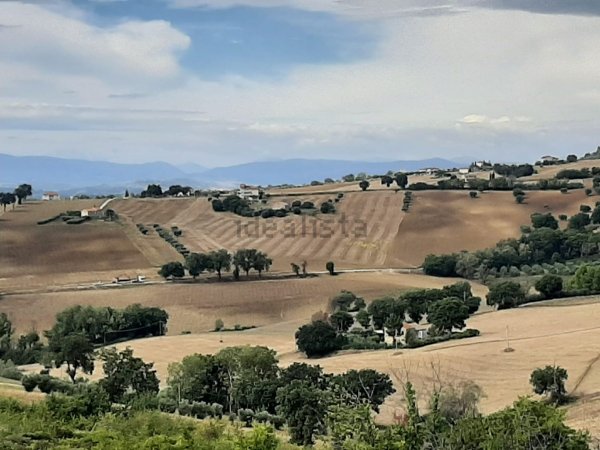 terreno edificabile in vendita a Montecosaro