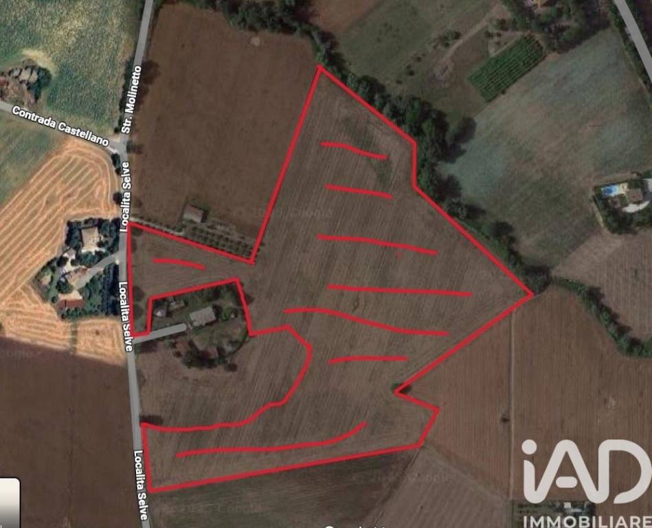 terreno agricolo in vendita a Montecosaro