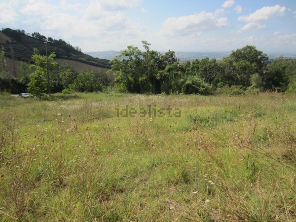 terreno agricolo in vendita a Montecosaro