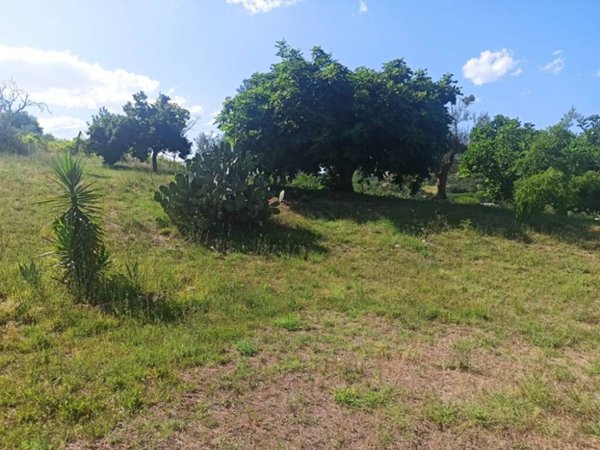 casa indipendente in vendita a Montecosaro in zona Crocette