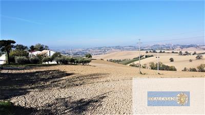 azienda agricola in vendita a Montefano in zona Montefanovecchio