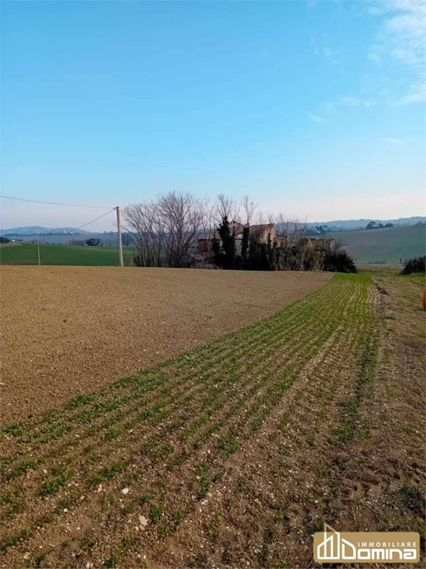 immagine annuncio 0 di 6