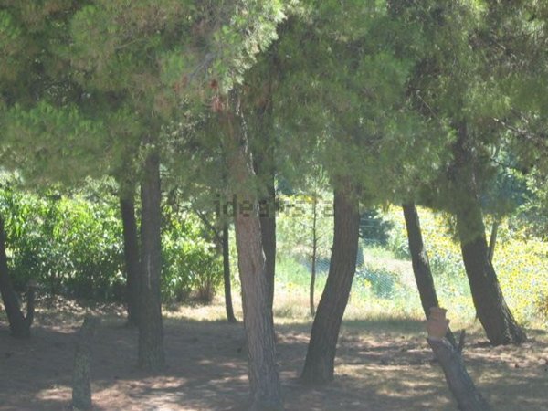 villetta a schiera in vendita a Montefano