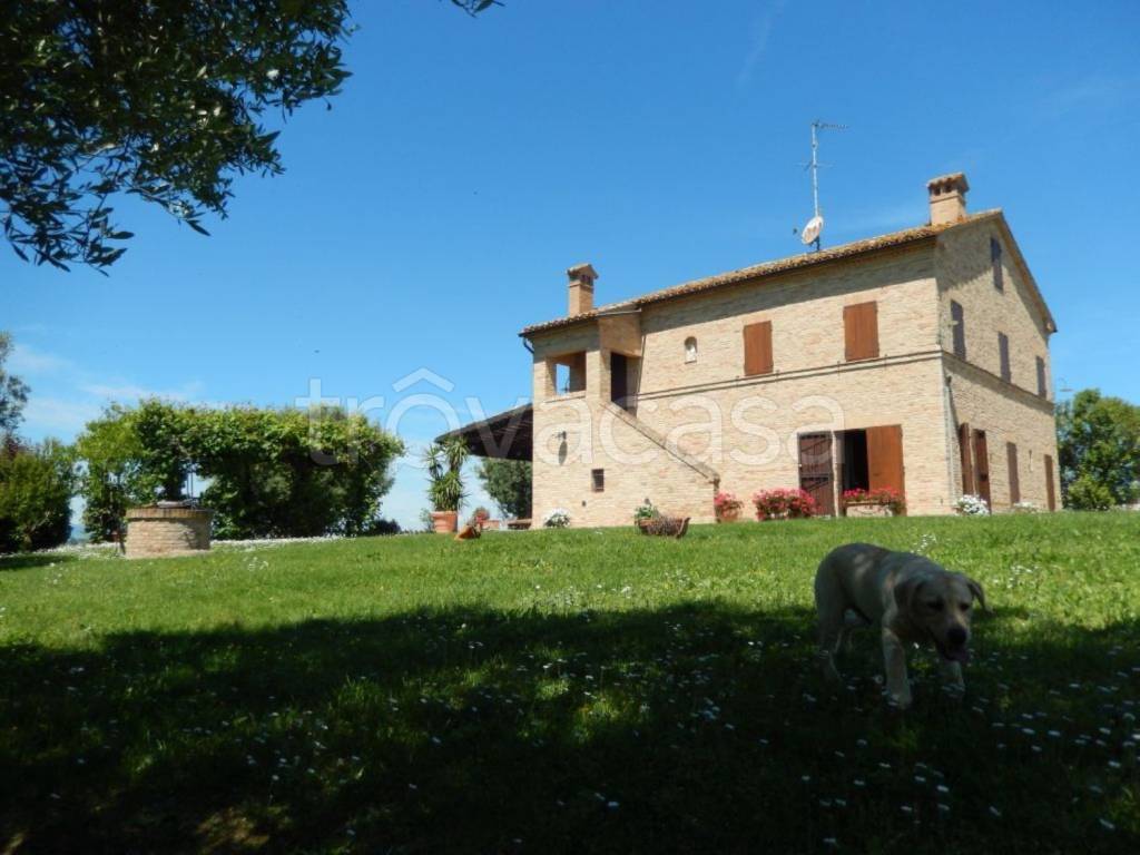casa indipendente in vendita a Montelupone