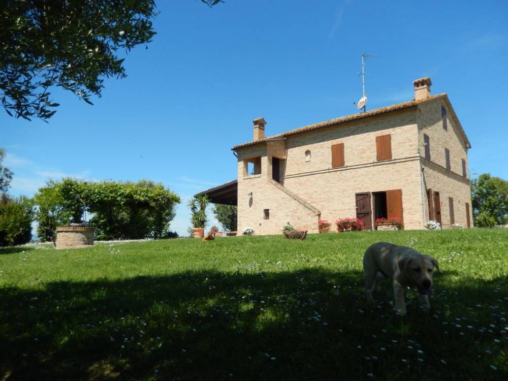 casa indipendente in vendita a Montelupone