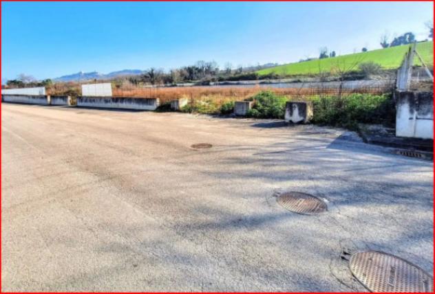 terreno agricolo in vendita a Montelupone