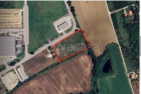 terreno agricolo in vendita a Montelupone