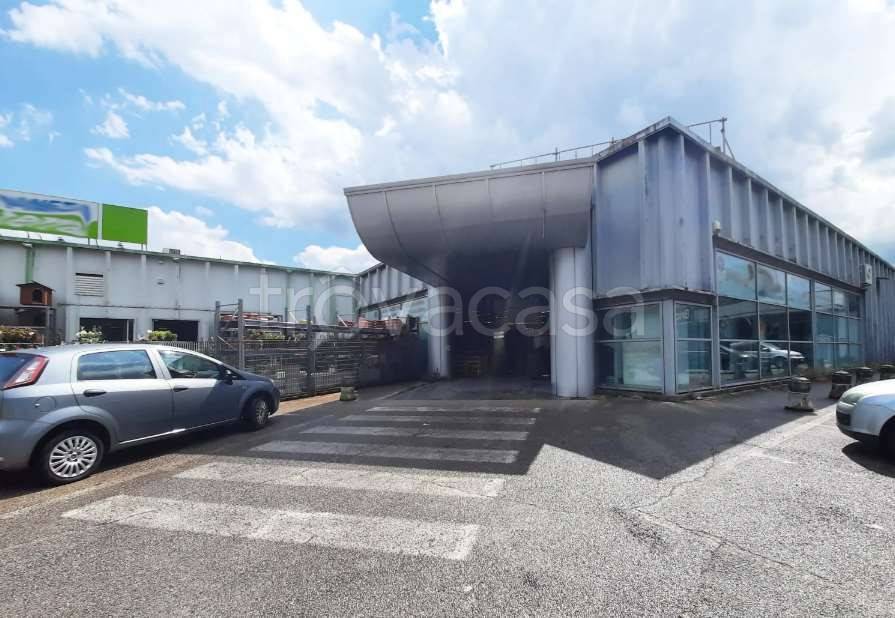 monolocale in vendita a Montelupone