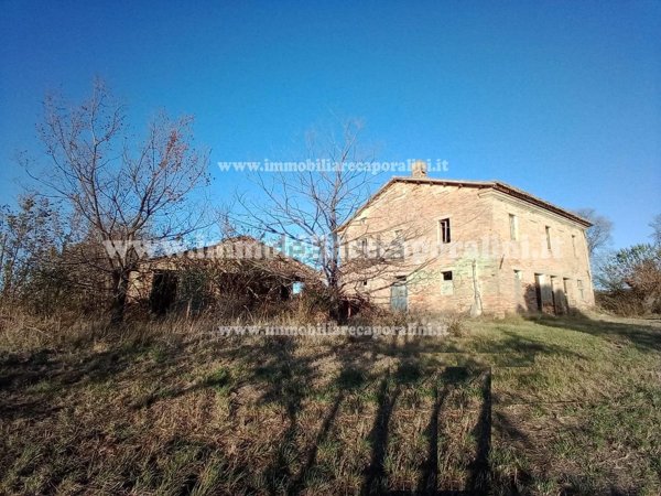 casa indipendente in vendita a Montelupone