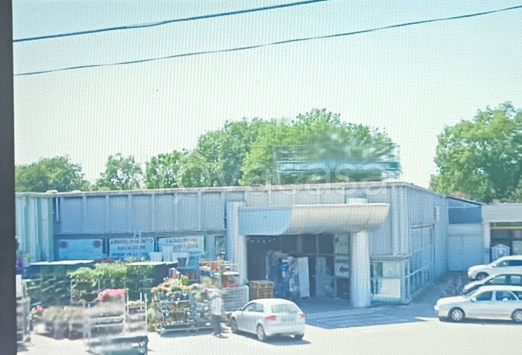 negozio in vendita a Montelupone