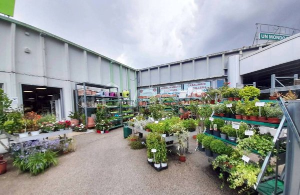 negozio in vendita a Montelupone