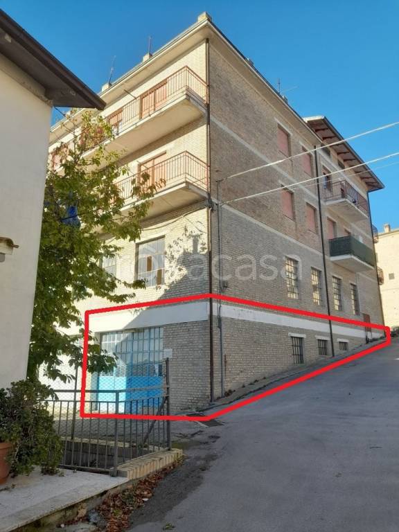 negozio in vendita a Montelupone