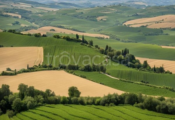 terreno agricolo in vendita a Montelupone