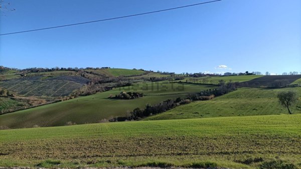 casa indipendente in vendita a Montelupone