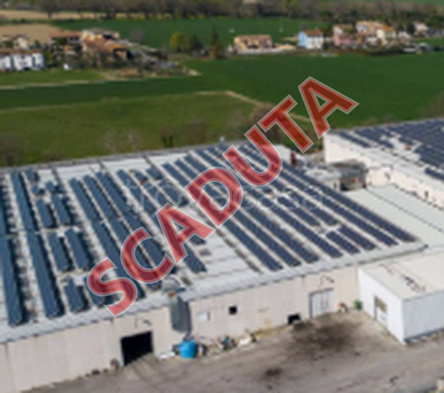 appartamento in vendita a Montelupone