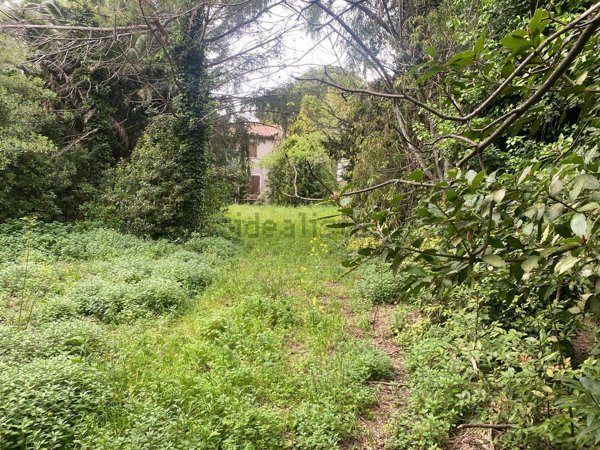 casa indipendente in vendita a Montelupone