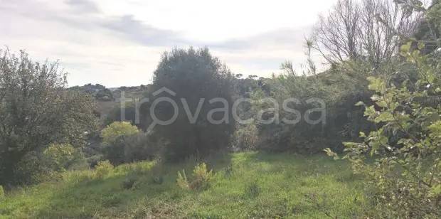casa indipendente in vendita a Montelupone in zona San Firmano
