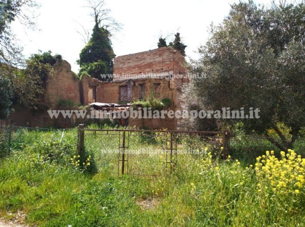 casa indipendente in vendita a Montelupone