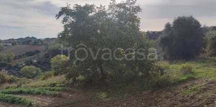terreno agricolo in vendita a Montelupone in zona San Firmano