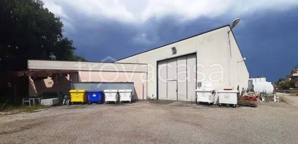 locale commerciale in vendita a Montelupone