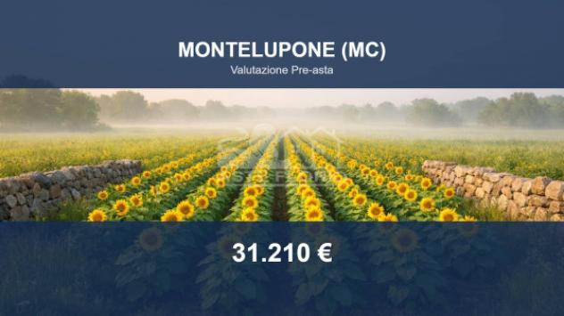 terreno agricolo in vendita a Montelupone