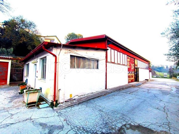 locale commerciale in vendita a Monte San Giusto