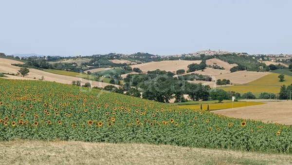 casa indipendente in vendita a Monte San Giusto
