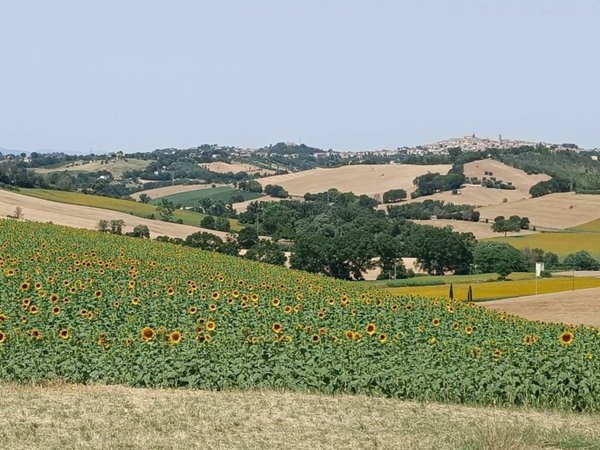 casa indipendente in vendita a Monte San Giusto