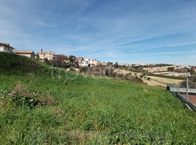 terreno agricolo in vendita a Monte San Giusto