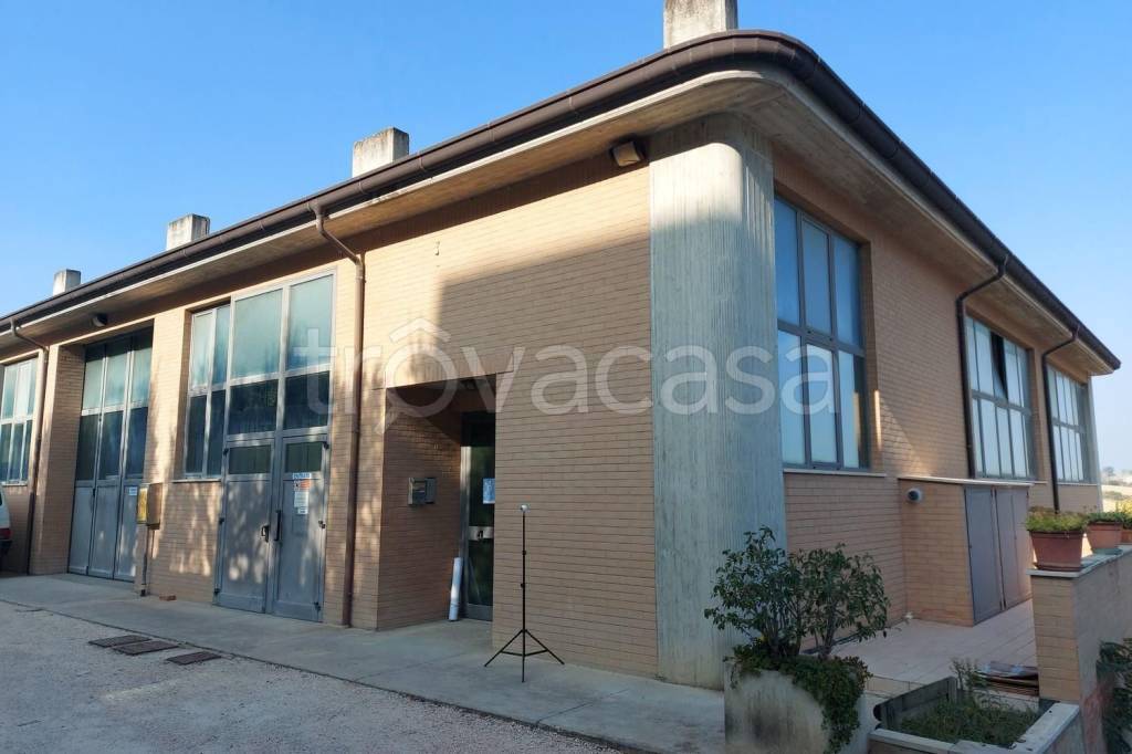 locale commerciale in vendita a Monte San Giusto