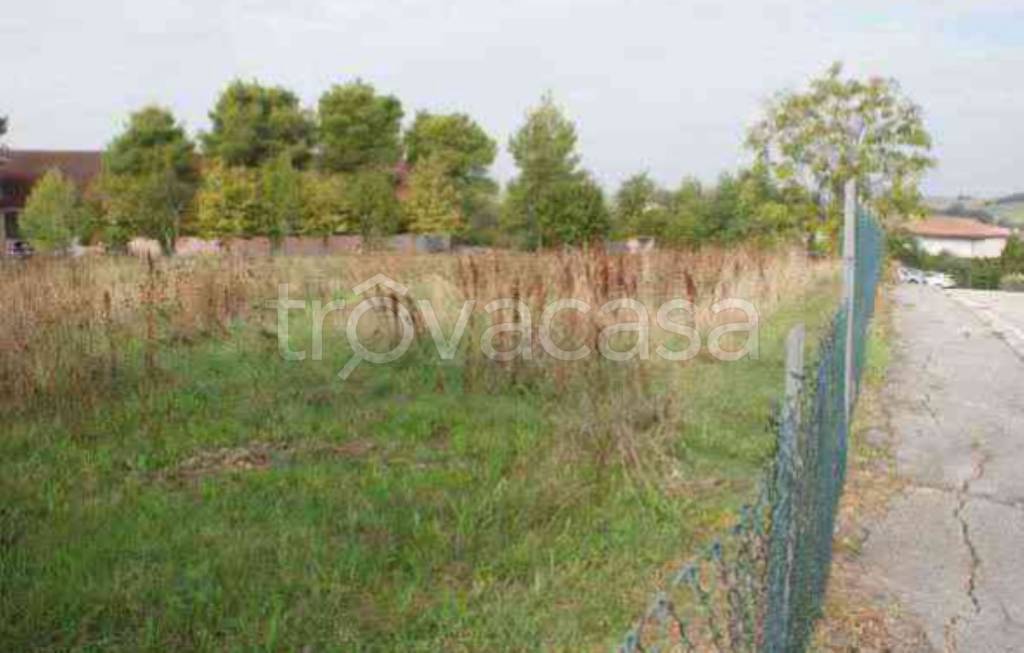 terreno agricolo in vendita a Monte San Giusto