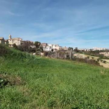 terreno agricolo in vendita a Monte San Giusto
