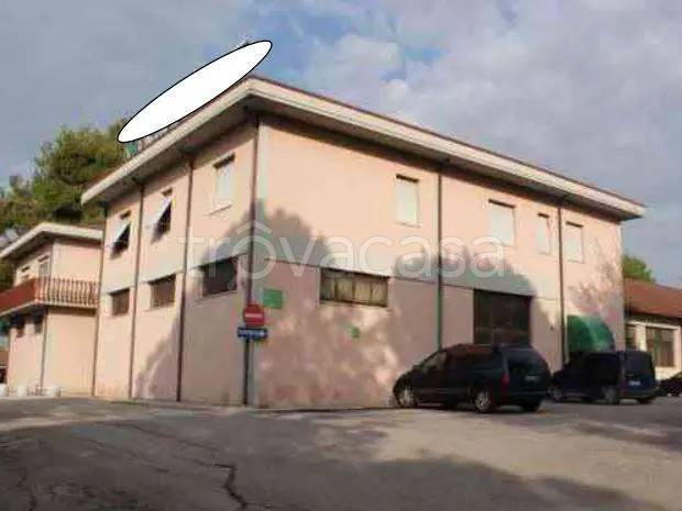 negozio in vendita a Monte San Giusto