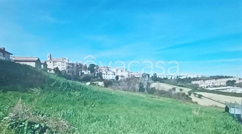 terreno agricolo in vendita a Monte San Giusto
