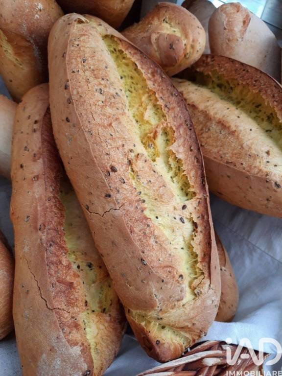 negozio in vendita a Monte San Giusto