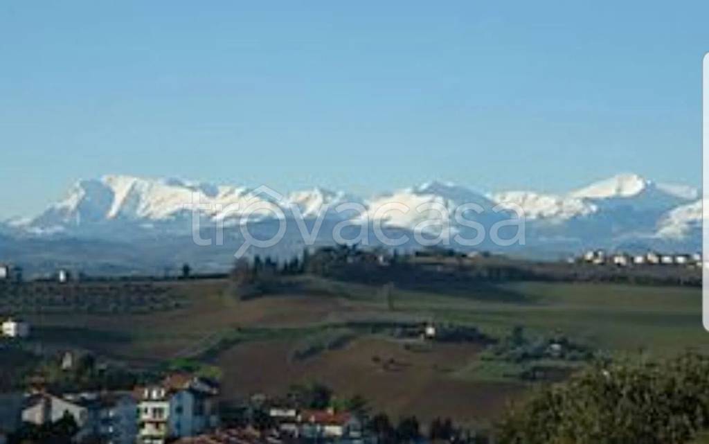 terreno agricolo in vendita a Monte San Giusto