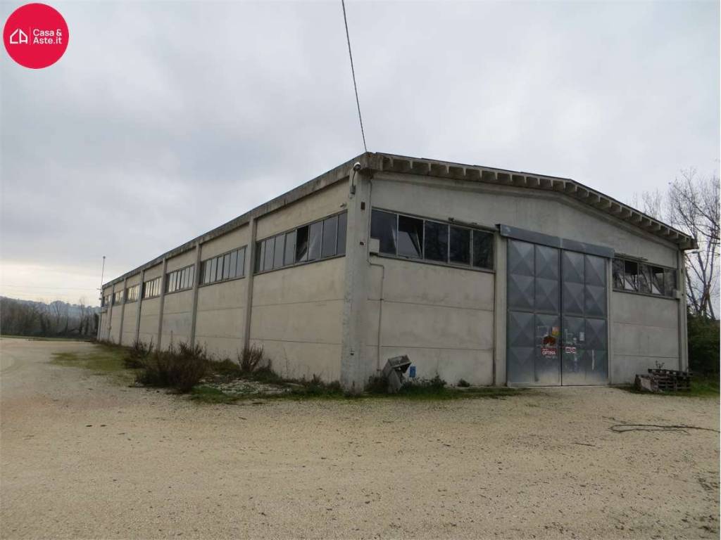 locale commerciale in vendita a Monte San Giusto