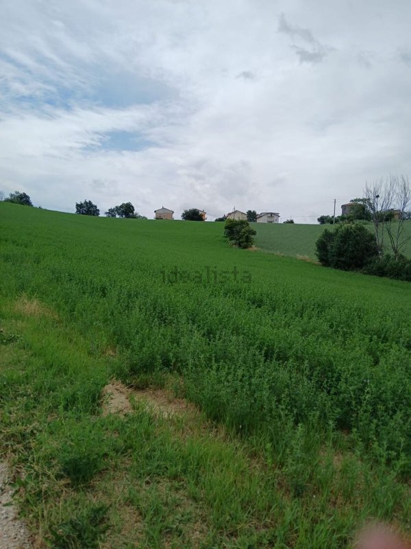 terreno agricolo in vendita a Monte San Giusto