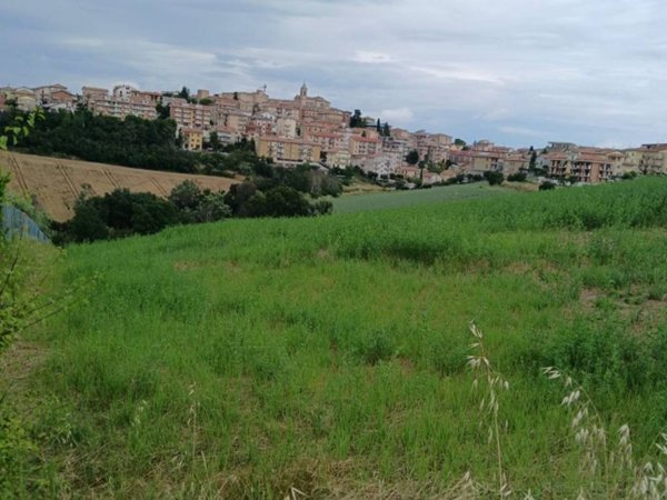 terreno agricolo in vendita a Monte San Giusto in zona Villa San Filippo