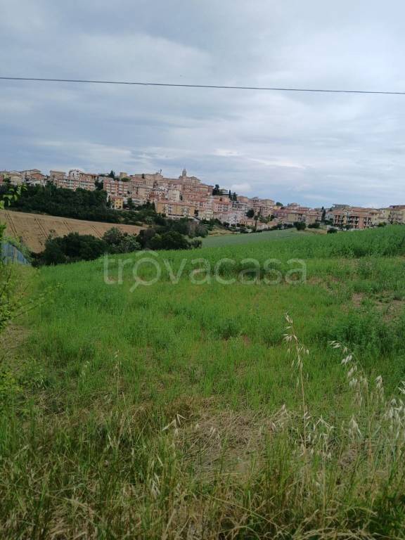terreno agricolo in vendita a Monte San Giusto in zona Villa San Filippo