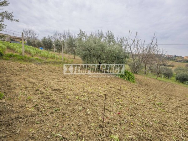 terreno agricolo in vendita a Monte San Giusto