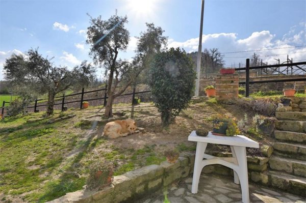 casa indipendente in vendita a Monte San Martino