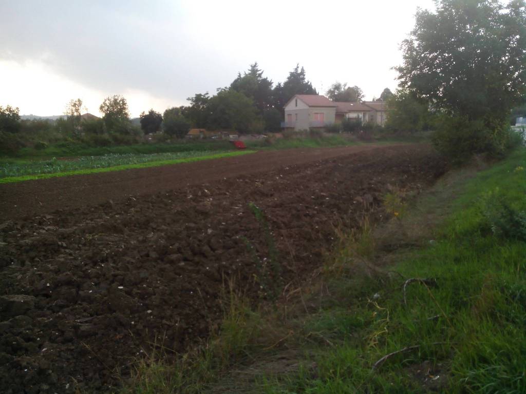 terreno agricolo in vendita a Morrovalle in zona Trodica