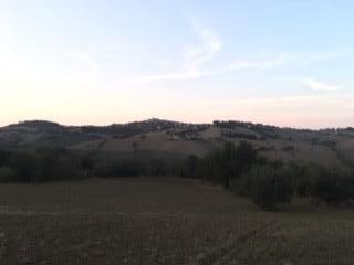terreno agricolo in vendita a Morrovalle