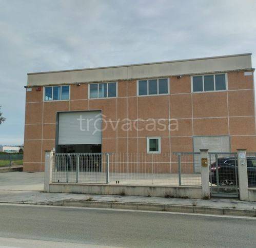 appartamento in vendita a Morrovalle in zona Trodica