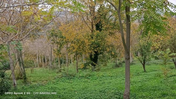 terreno agricolo in vendita a Morrovalle in zona Santa Lucia