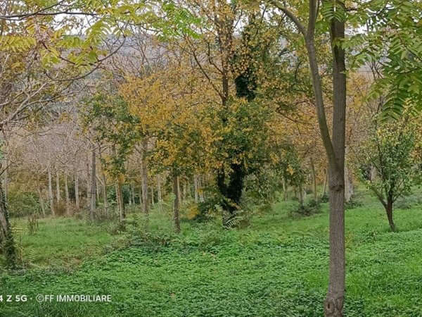terreno agricolo in vendita a Morrovalle in zona Santa Lucia
